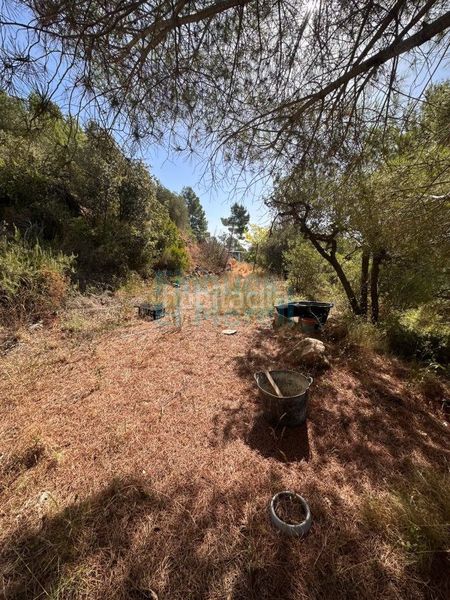 Foto 94118341-82c2-42f8-9c0b-fc947b0f4306. Masia a Albiol (L´)