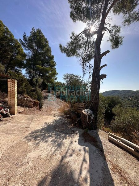 Foto a4732e8c-6515-489d-837b-226426cb1793. Masia a Albiol (L´)