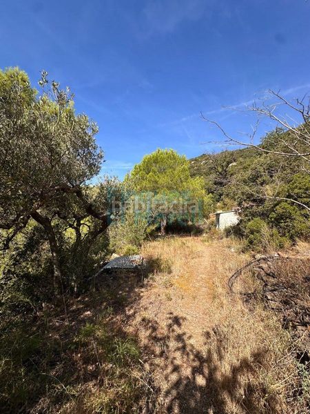Foto ca65572d-7c00-495b-ba87-24635e2df901. Masia a Albiol (L´)