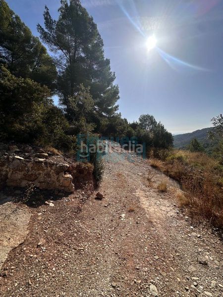 Foto e3226f0b-23f0-4546-a919-1bbf690022b4. Masia a Albiol (L´)