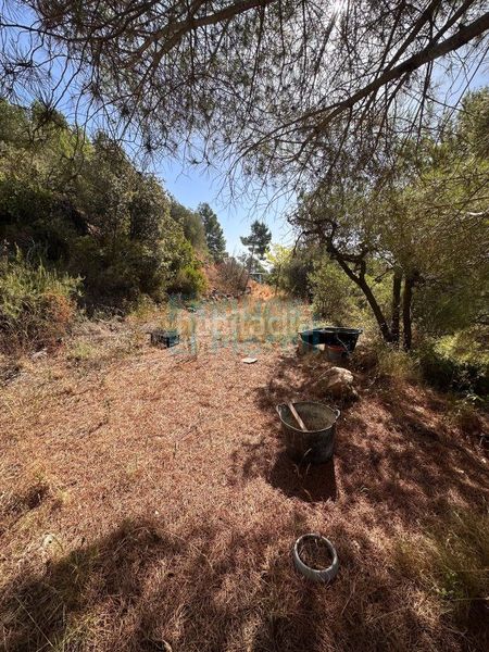 Foto eb156f60-ec4e-48cf-97ce-28d962feba29. Masia a Albiol (L´)