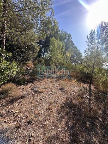 Foto f5d6046d-7461-4412-882f-0c647e3cea55. Masia a Albiol (L´)