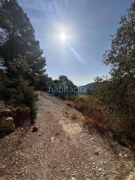 Foto ff026846-85b2-4d3f-a046-2b17f307dc94. Masia a Albiol (L´)