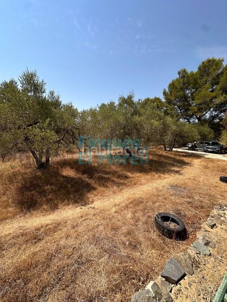Foto 19d0a900-57d7-450e-aecf-f979d8a96f65. Casa amb aparcament a Aleixar (L´)