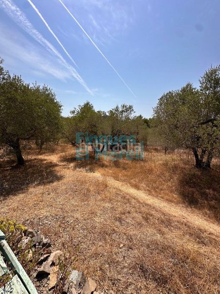 Foto 28958516-9fb4-4e1c-b52d-fa8d7a0b9d3e. Casa amb aparcament a Aleixar (L´)