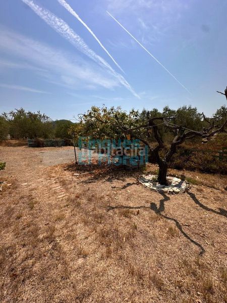 Foto 3a0dca73-6eaa-48d7-89e0-999c08bdfad6. Casa amb aparcament a Aleixar (L´)