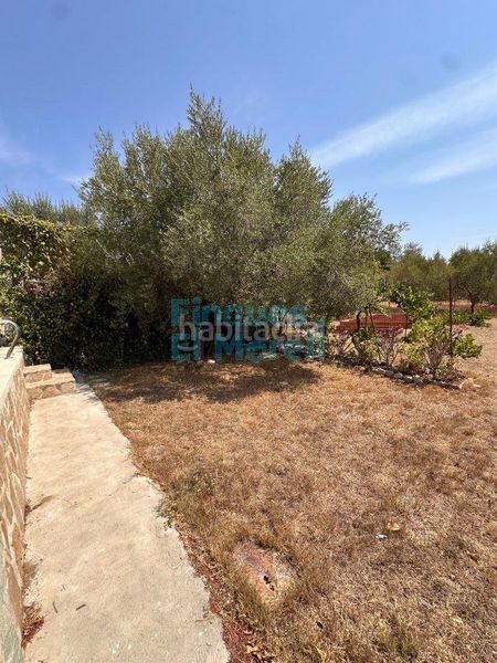 Foto 640827dd-5218-40e9-bff3-202b72d9c879. Casa amb aparcament a Aleixar (L´)