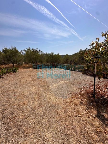 Foto 8a0f518e-f58f-40b0-8b25-55f8c6bb23c2. Casa amb aparcament a Aleixar (L´)