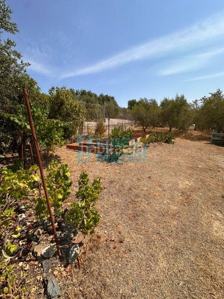Foto 9f258079-74da-4e33-8810-59809d98c7df. Casa amb aparcament a Aleixar (L´)