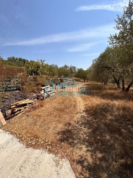 Foto b300bf07-915f-40ef-a4e7-a521ddeb89ce. Casa amb aparcament a Aleixar (L´)