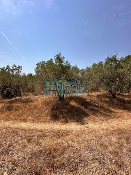 Foto e8d77e51-c03d-4a4c-9d04-a26a8cfa8120. Casa amb aparcament a Aleixar (L´)