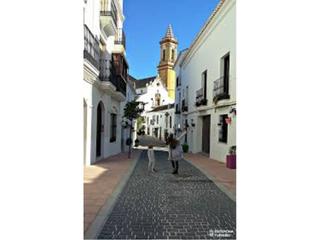 Finca rústica  Calvario. Terreno en venta en estepona
