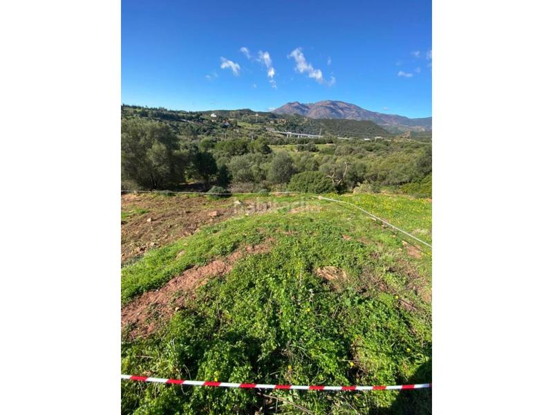 Foto 43d755da-ee44-4d62-8ac8-e56d9e67d6d5. Residential plot in alcornoque 10 in Los Llanos Estepona