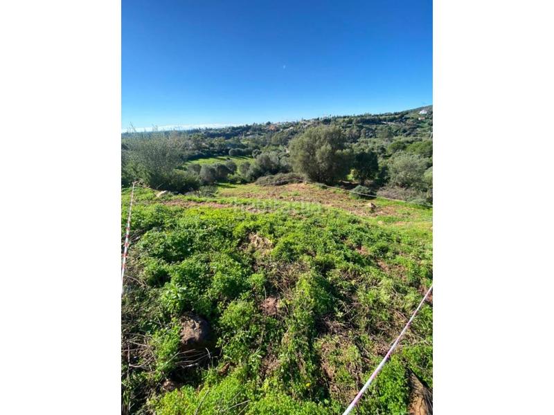 Foto e4f5265a-d975-4b3c-a38c-ffa0cf050ca1. Residential plot in alcornoque 10 in Los Llanos Estepona