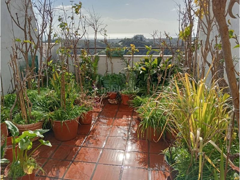 Foto f1572480-3626-487a-bc2e-bccde46cad49. Dúplex a calle sidney 1 a altos de Estepona Estepona