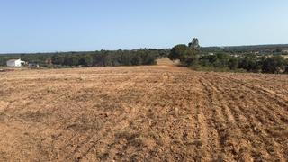 Masia a Villablanca. Finca rúst. en venta en lepe.