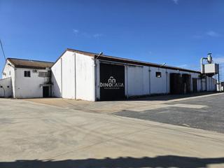 Bâtiment à usage industriel à Cartaya. Nave industrial en venta en cartaya, 3 dormitorios.