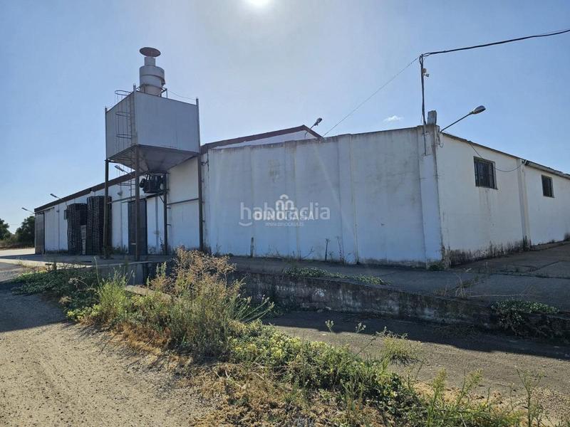 Foto 7e21e311-198e-4d68-bcc5-285d302a2ba2. Nave industrial  en venta , 3 dormitorios. en Cartaya
