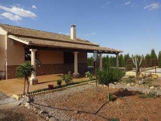 Chalet en Fuente Palmera. Parcela de 6000 m2 con  chalet de 170 m2.