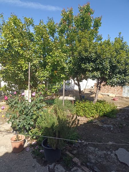 Foto 0bcaf27a-be59-4e48-b34b-02d791333947. Casa a Guadalcázar