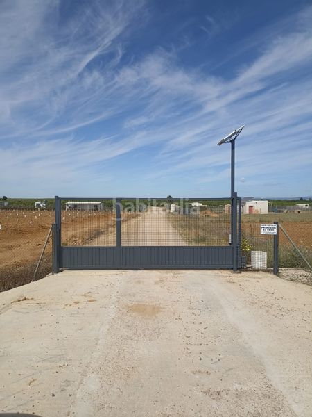 Foto 48d8df74-137c-4b8f-9870-1355240fbc4b. Finca rústica parcela de 4200 m2 en Fuente Palmera