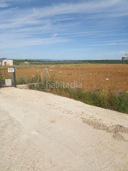 Foto 7f8d4cc3-1198-4168-b045-9449c7868a85. Finca rústica parcela de 4200 m2 en Fuente Palmera