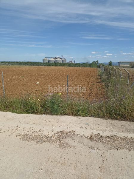 Foto c1a6df30-ac3b-49d1-8084-19058b1fb136. Finca rústica parcela de 4200 m2 en Fuente Palmera