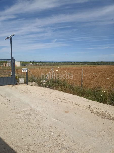 Foto d94f4e49-6d47-4dc8-8b3a-4e59c2508d6a. Finca rústica parcela de 4200 m2 en Fuente Palmera