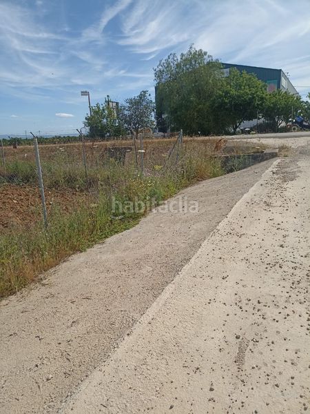 Foto ffe353cc-05a3-42d5-83fb-679685cc2977. Finca rústica parcela de 4200 m2 en Fuente Palmera