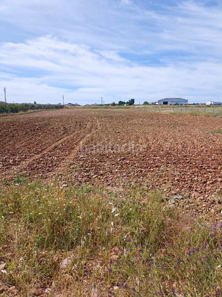 Foto 8750d351-5f74-4307-9eb8-242ee24e7af8. Finca rústica a Fuente Palmera
