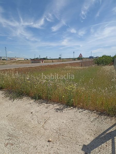 Foto fda8a3f8-96ac-4eb6-985f-ce70e72b74c6. Finca rústica a Fuente Palmera