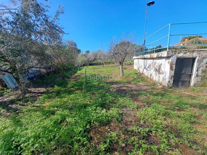 Foto 49d2d079-521c-48fd-88a5-c49e030c47d7. Chalet  con parcela de 3000 metros. en Almodóvar del Río