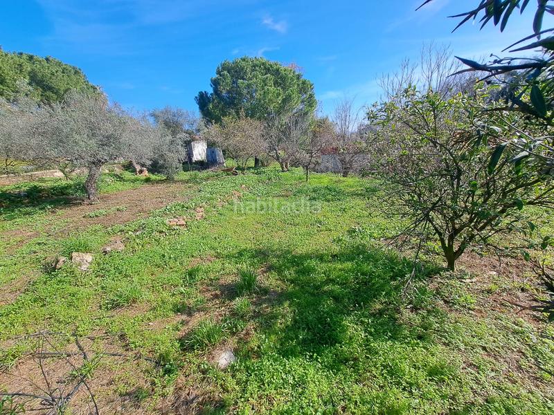 Foto cf1ac8cb-e6e9-4836-a45f-803fa7882a01. Chalet  con parcela de 3000 metros. en Almodóvar del Río