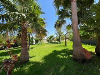 Chalet en Fuente Palmera. Parcela de 3000 metros y chalet.