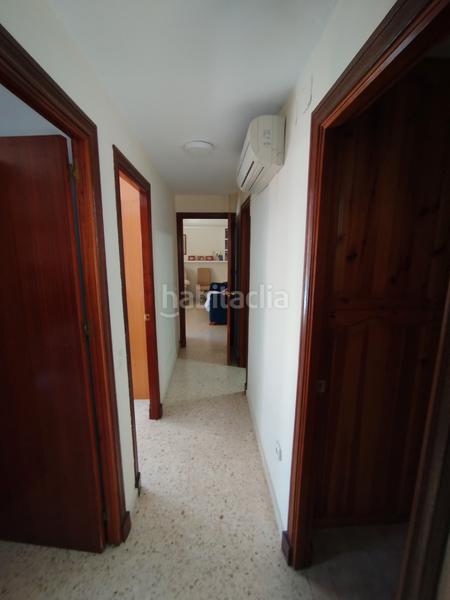 Foto 5477fae5-aade-4a96-81e6-de31148f2590. Piso amplio piso en venta en zona los olivos en Cobreros Viejo San Fernando