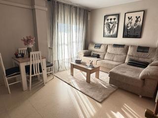 Flat in Cobreros Viejo