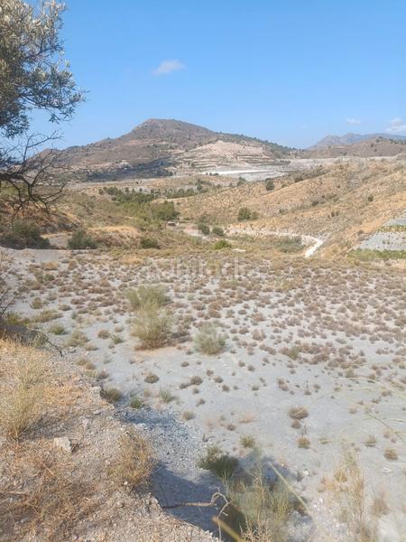 Foto b3aeffd9-fe52-4bc0-83f9-c0e874276c2b. Fondo rustico in Vélez de Benaudalla