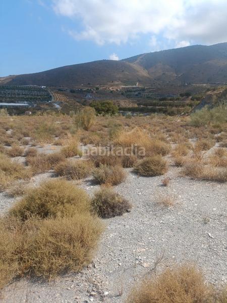 Foto dffb200e-5a42-4954-bb7e-2f0d178070d9. Fondo rustico in Vélez de Benaudalla