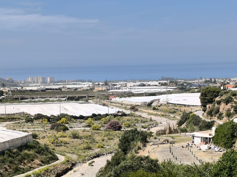 Foto 452b1ea6-f325-4cd7-98af-0a08eafa530e. Finca rústica a Los Tablones - La Garnatilla Motril