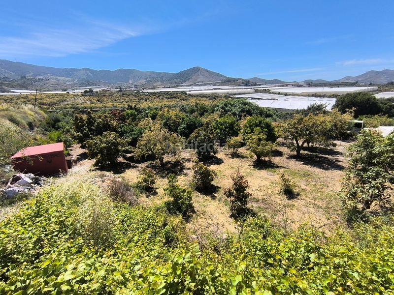 Foto 94ec2a27-80cf-446c-b845-0fb351e79d98. Finca rústica a Los Tablones - La Garnatilla Motril