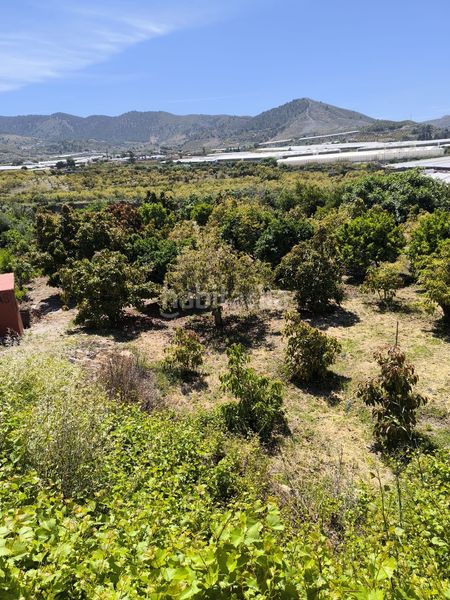 Foto e6b4b1e2-2362-49a3-ae5c-ebb5ae038ac2. Finca rústica a Los Tablones - La Garnatilla Motril