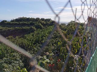 Casale in Motril  ciudad. Finca rúst. en venta en polígonos.