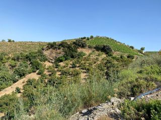 Masia  Paraje crudo itrabo. Finca rúst. en venta en itrabo.