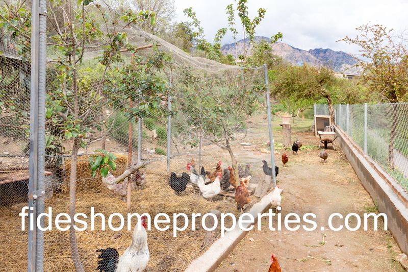 Foto 664a8ccd-e53d-4a89-899d-2499a37c44a3. Masia a Dúrcal