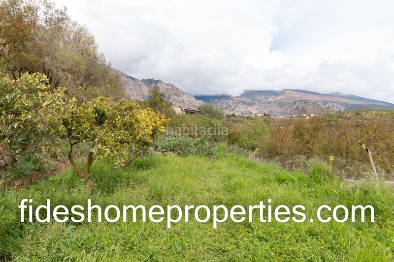 Foto b8f2335b-36ea-48a1-9af3-0b2d8d06f6fa. Masia a Dúrcal