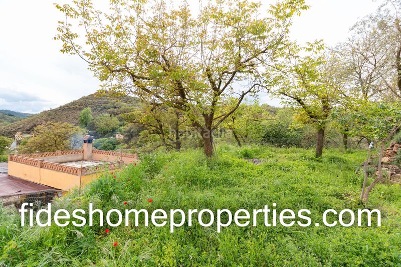 Foto dfe2f048-8639-4b37-a25e-6cf9f0509dac. Masia a Dúrcal