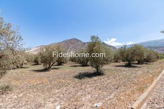 Rural plot in Calle los rosales 17