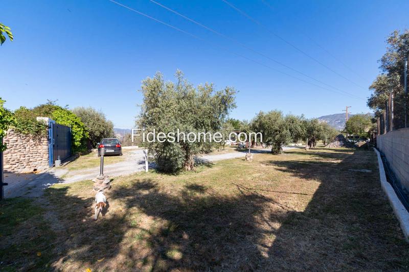 Foto 469e9f80-0e63-437f-8683-39036d25ffdf. Bauernhof mit kamin heizung parking in Nigüelas