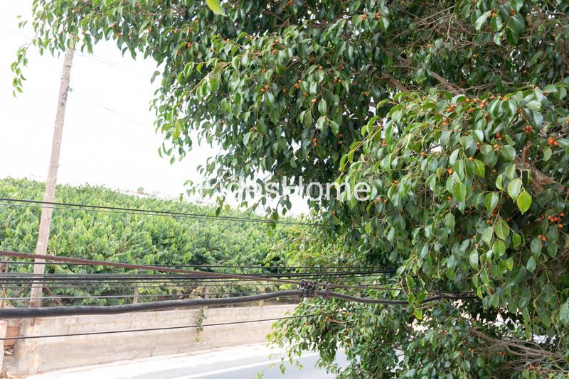 Foto d164d7b1-59e1-4e7b-9ccf-7c7e736cdd24. Chalet in calle general palafox 2 in Los Tablones - La Garnatilla Motril