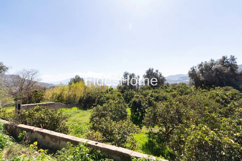 Foto 2e75de30-76a1-46d6-90fb-4917963a3690. Finca rústica a calle baja 14 a Lecrín